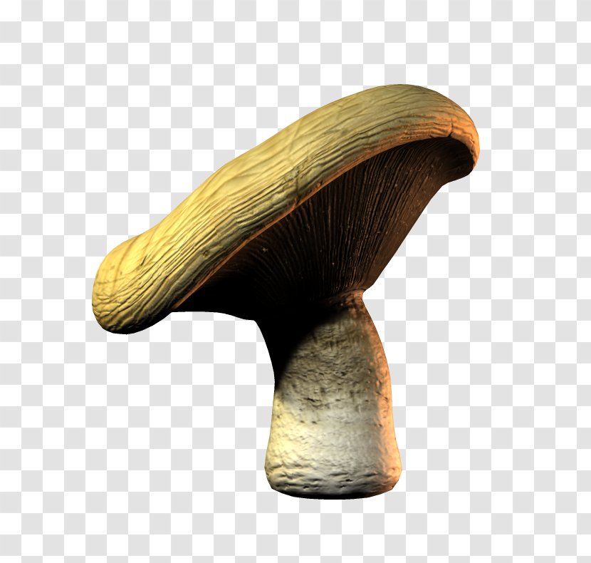 Edible Mushroom Pleurotus Eryngii File Format - Fungus Transparent PNG