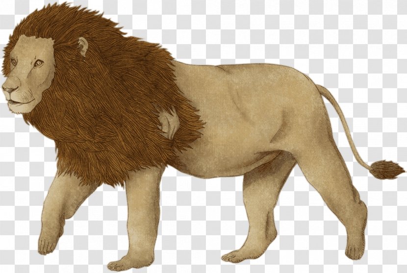 Big Cat Fur Terrestrial Animal Wildlife Transparent PNG