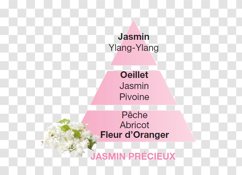 Perfume Fragrance Lamp Jasmine La Bella Candela - Diffusion Transparent PNG