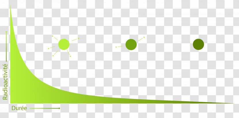 Leaf Logo Brand Desktop Wallpaper Transparent PNG