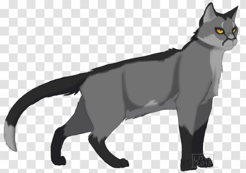 Black Cat Kitten Malayan Korat Whiskers - Vertebrate Transparent PNG