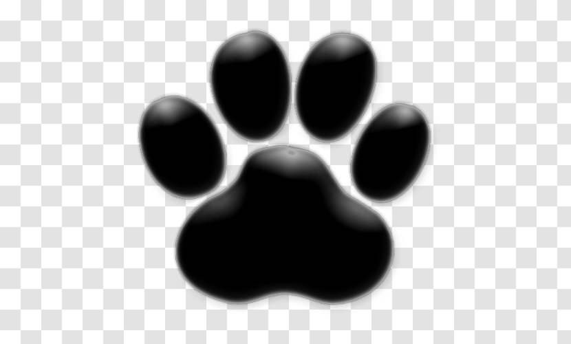 Dog Grooming Pet Sitting Cat - Paw Print Template Transparent PNG