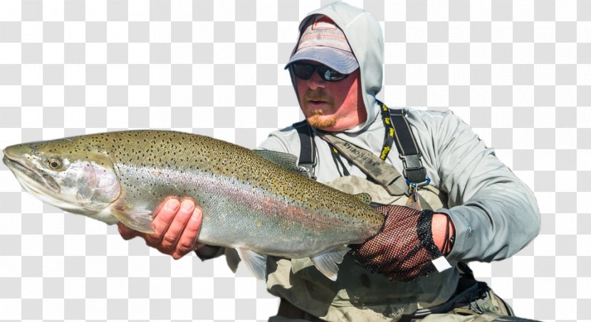 Recreational Fishing Coho Salmon Rods Cutthroat Trout - Rayfinned Fish - Anglerfish Transparent PNG