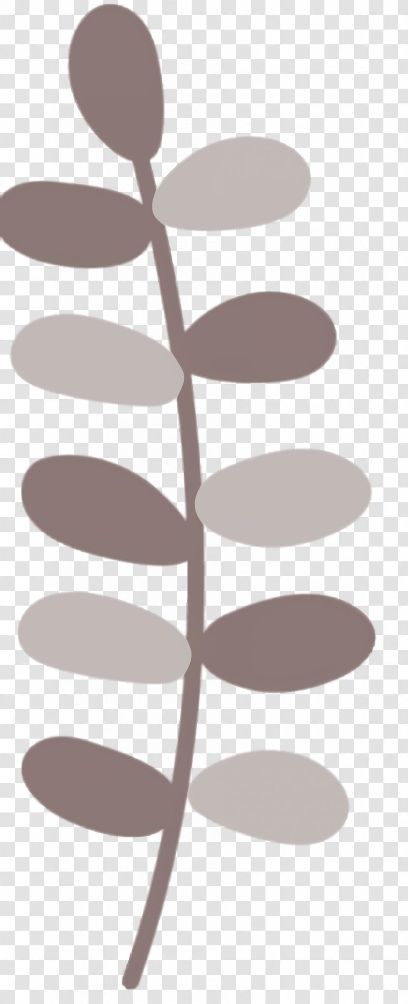 Flower Plant - Stem Transparent PNG