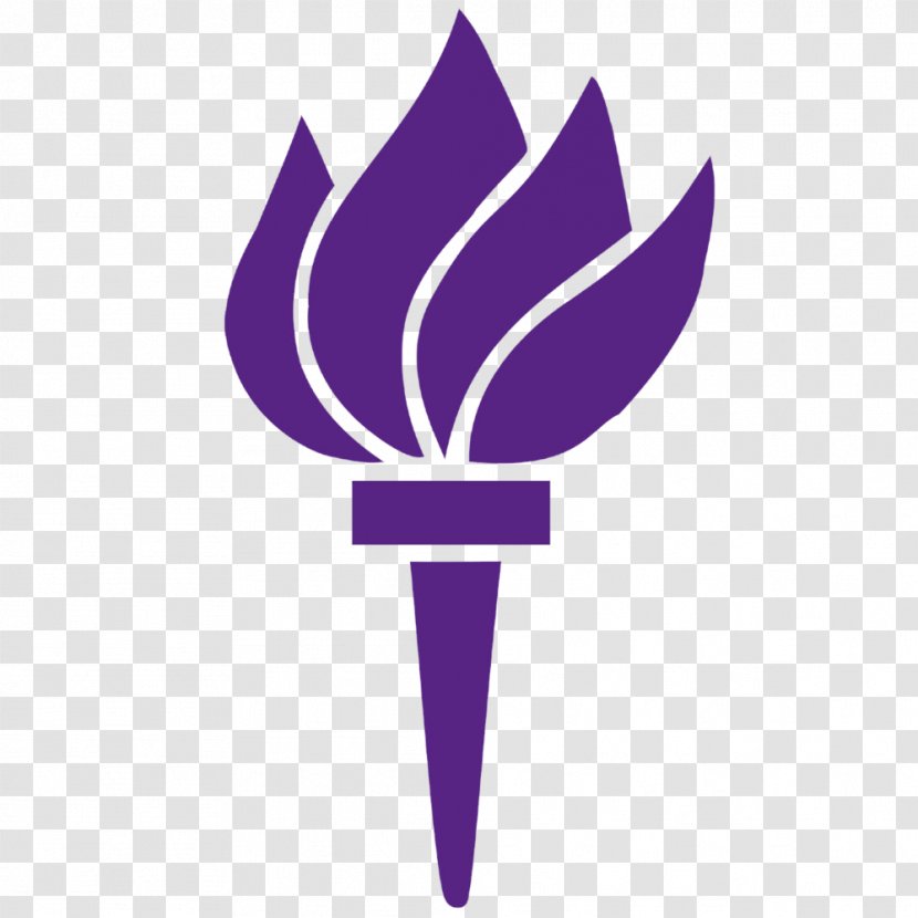 Tisch School Of The Arts Institute Fine Arts, New York University Logo - Flowering Plant - Torch Clipart Transparent PNG