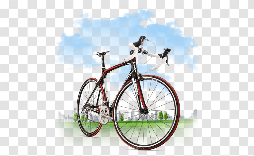 Bicycle Bike Balance Cycling - Fixedgear - Travel Icon Transparent PNG