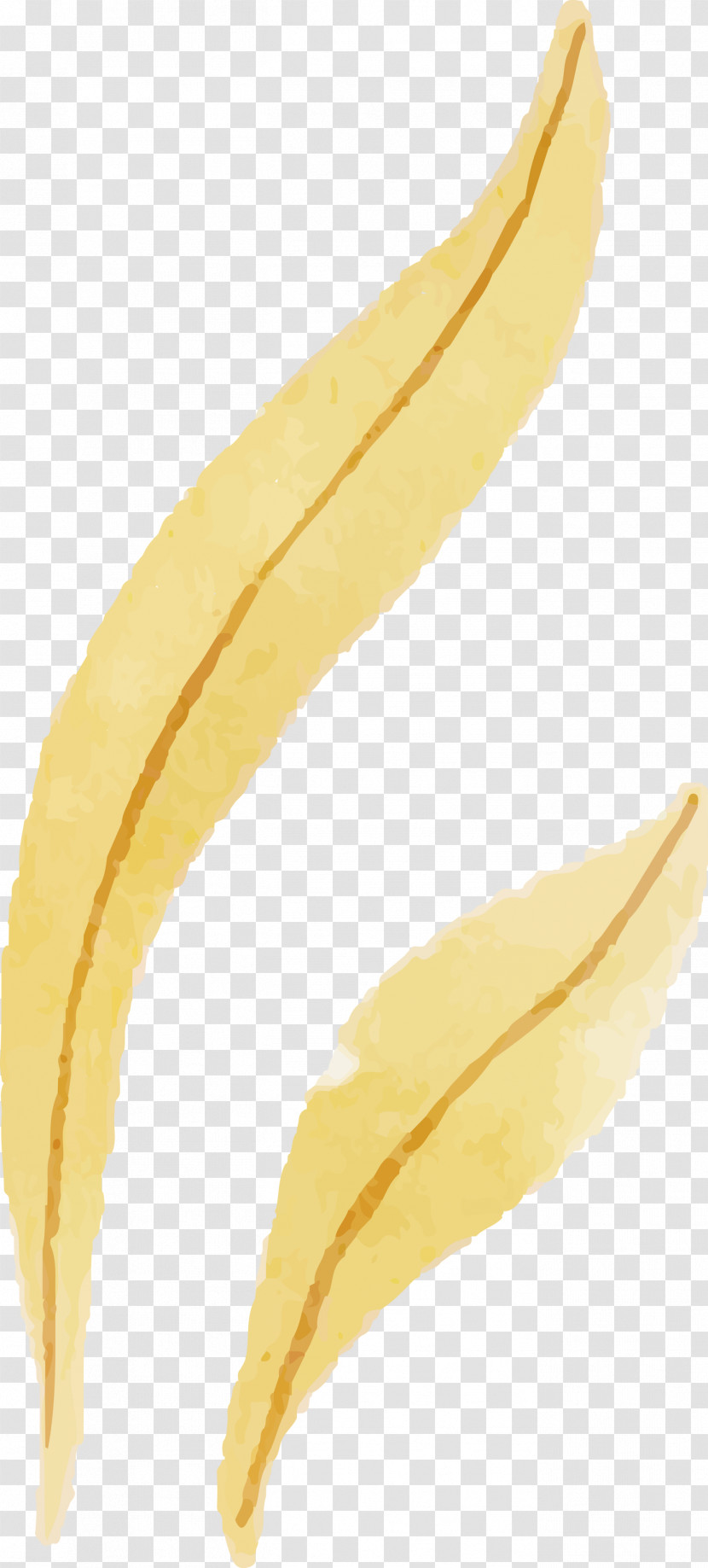 Yellow Transparent PNG