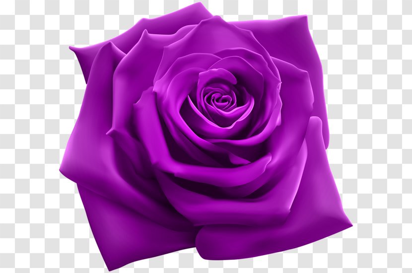 Rose Purple Clip Art - Magenta - Carnival Mask Transparent PNG
