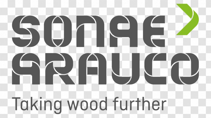 Sonae Arauco Deutschland Medium-density Fibreboard Particle Board Celulosa Y Constitución - Wood - Business Transparent PNG