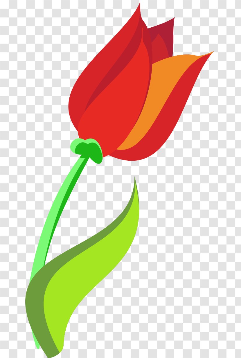Tulip Cartoon Caricature Flower Clip Art - Flowering Plant Transparent PNG