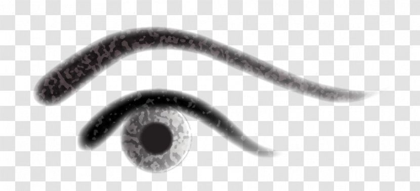 Invertebrate Eye Body Jewellery - Eyelash - Right Transparent PNG