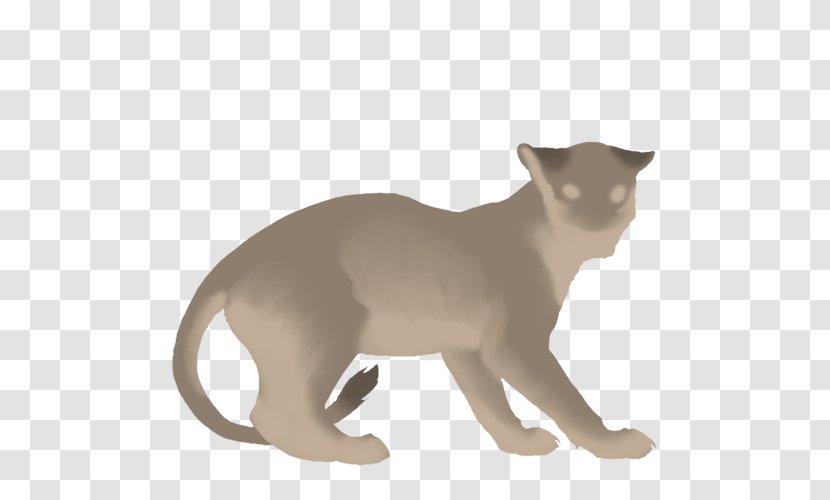 Burmese Cat Mammal Carnivora Whiskers Animal - Puma - Lion Dance Transparent PNG