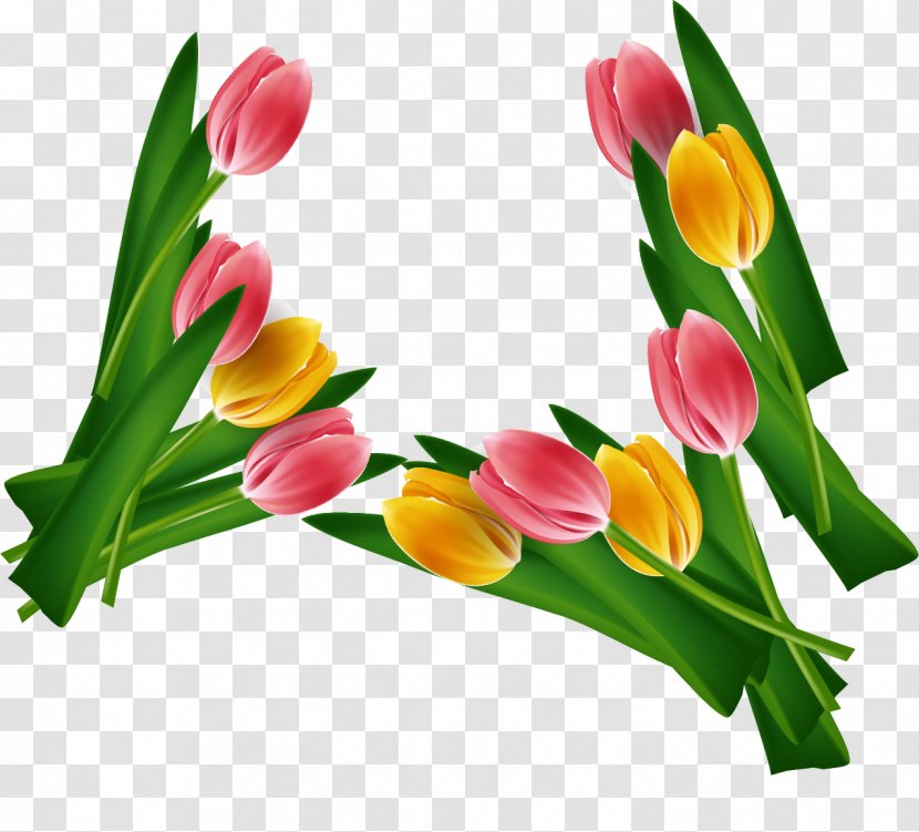 Tulip Floral Design Flower Bouquet - Seed Plant Transparent PNG