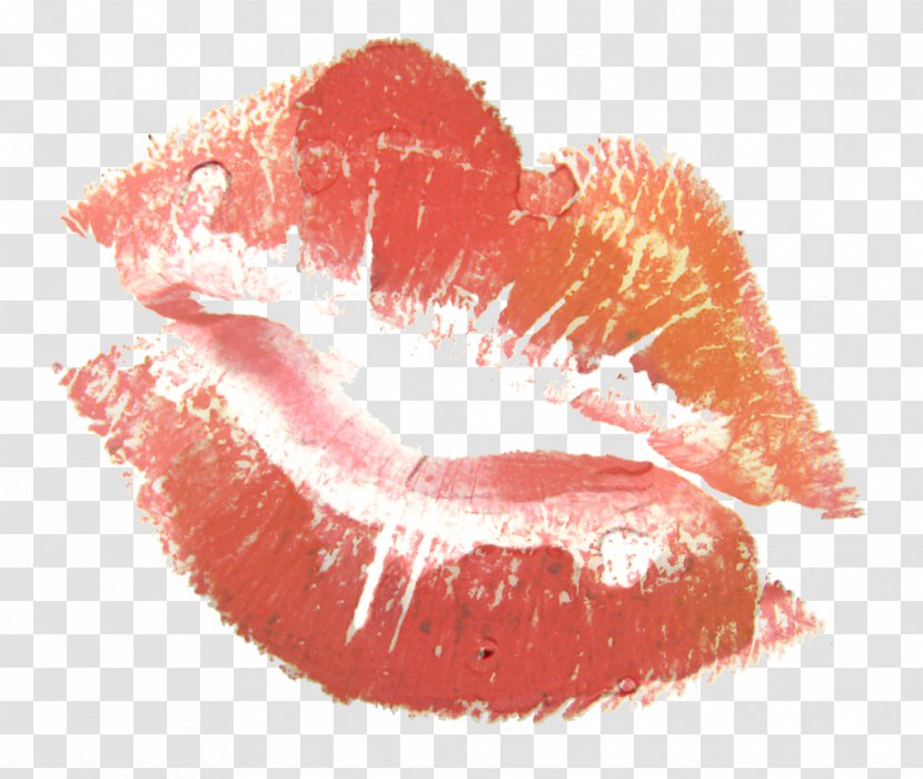 Lips Clip Art Kiss Vector Graphics - Orange - Lip Transparent PNG