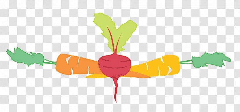 Carrot Leaf Clip Art Plant Stem Vegetable - Vegetarian Food Transparent PNG
