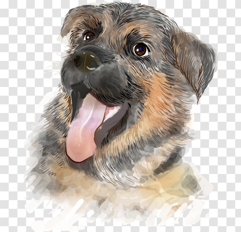 German Shepherd Spitz Puppy Kitten Illustration - Tongue Dog Transparent PNG