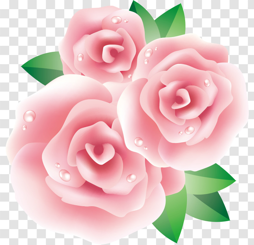 Three Flowers Three Roses Valentines Day Transparent PNG
