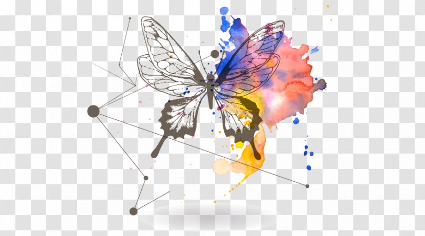 Butterfly Effect - Insect Transparent PNG