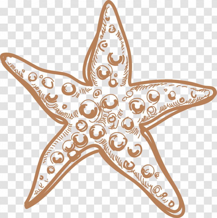 Starfish Marine Invertebrates - Sea - Star Transparent PNG