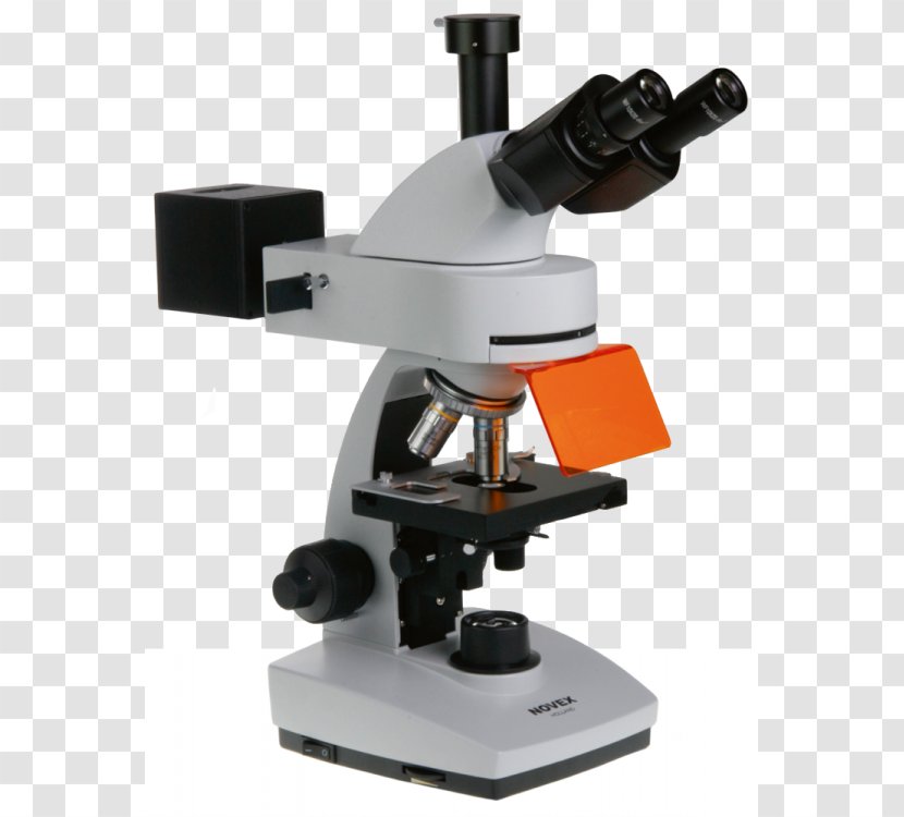 Fluorescence Microscope Eyepiece Microscopy - Tissue Transparent PNG
