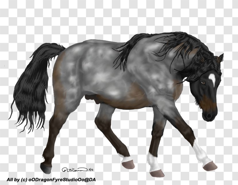 Mane Mustang Stallion Mare Pony - Practical Joke Transparent PNG
