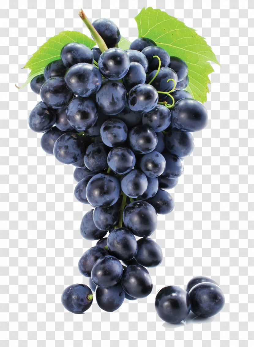 Juice Wine Common Grape Vine Must - Vitis - Pattern Transparent PNG