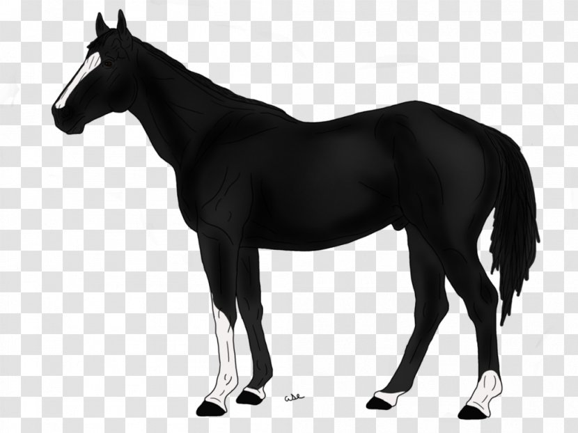 Thoroughbred American Quarter Horse Appaloosa Morgan Breyer Animal Creations - Bridle - Irregular Stripes Transparent PNG