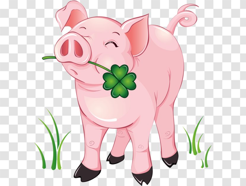 Domestic Pig Clip Art Image Vector Graphics - Tree - Paddy Animal Feed Transparent PNG