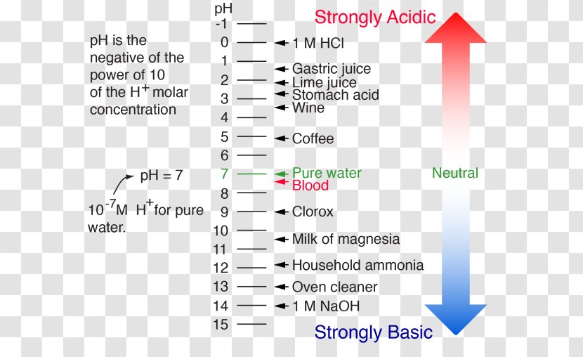 PH Hydrochloric Acid Acid–base Reaction Chemistry - Ph - Base Transparent PNG