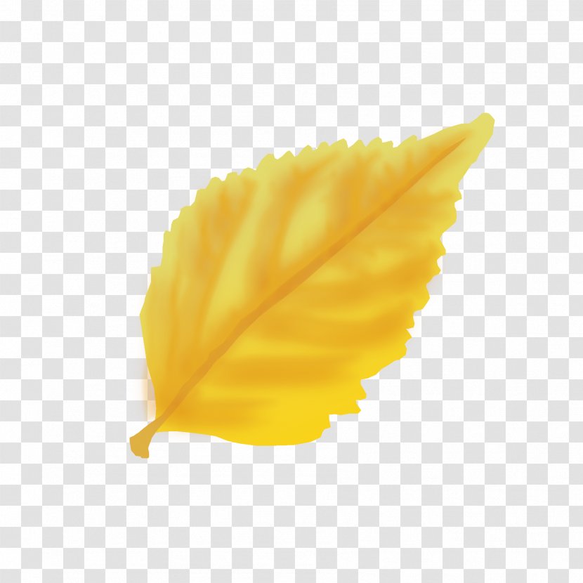 Leaf Petal - Yellow - Autumn Transparent PNG