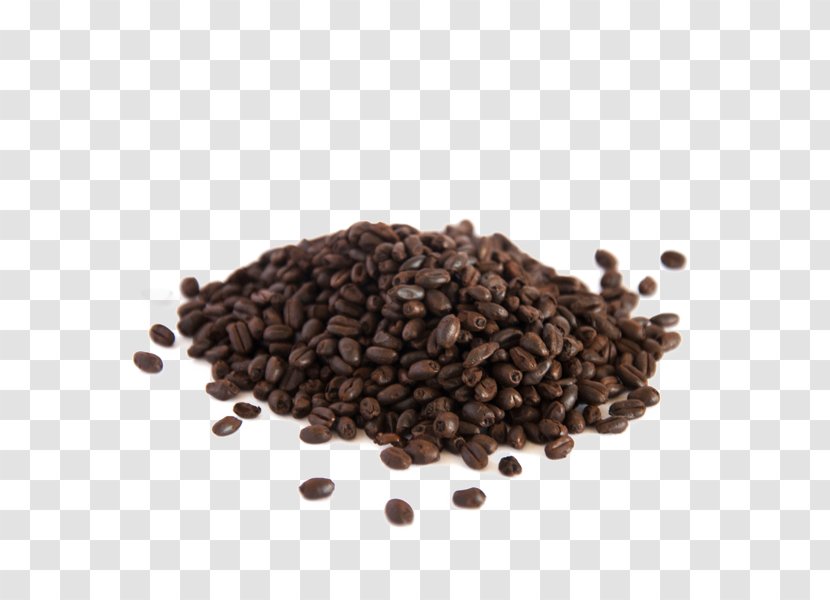 Pilsner Beer Malt Kona Coffee Seed - Digestive Biscuit - Wheat Fealds Transparent PNG