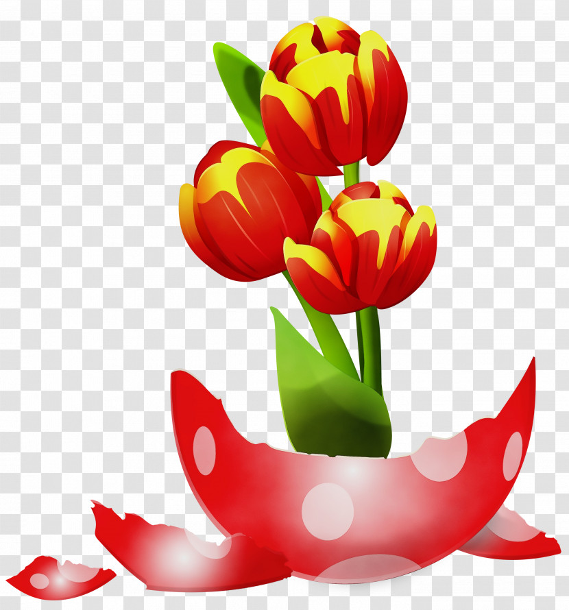 Petal Flower Tulip Plant Cut Flowers Transparent PNG