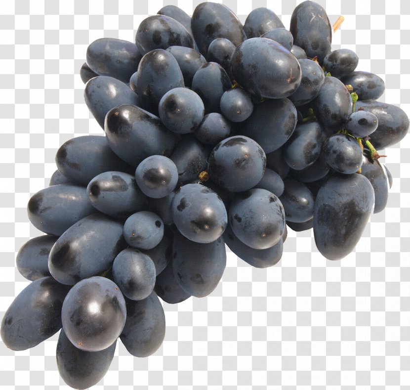 Common Grape Vine Wine Fruit - Vegetable - Grapes Transparent PNG