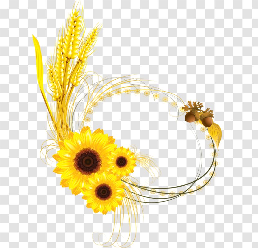 Common Sunflower Euclidean Vector Clip Art - Sunflowers - Wheat Yellow Border Transparent PNG