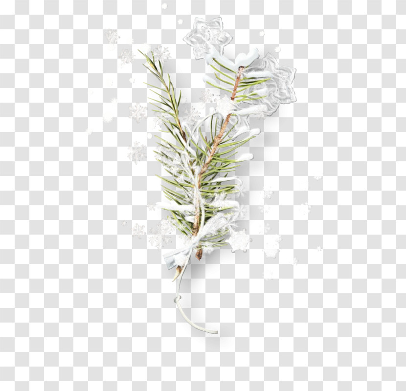 Branch White Pine Twig Plant Leaf Transparent PNG