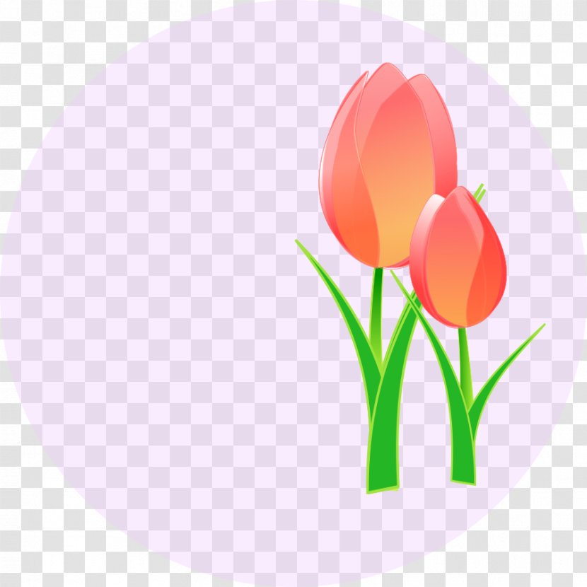 Tulip Mania Clip Art - Lily Family - Free Clipart Transparent PNG