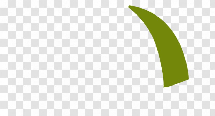 Logo Brand Desktop Wallpaper - Green - Cricket Jersey Transparent PNG