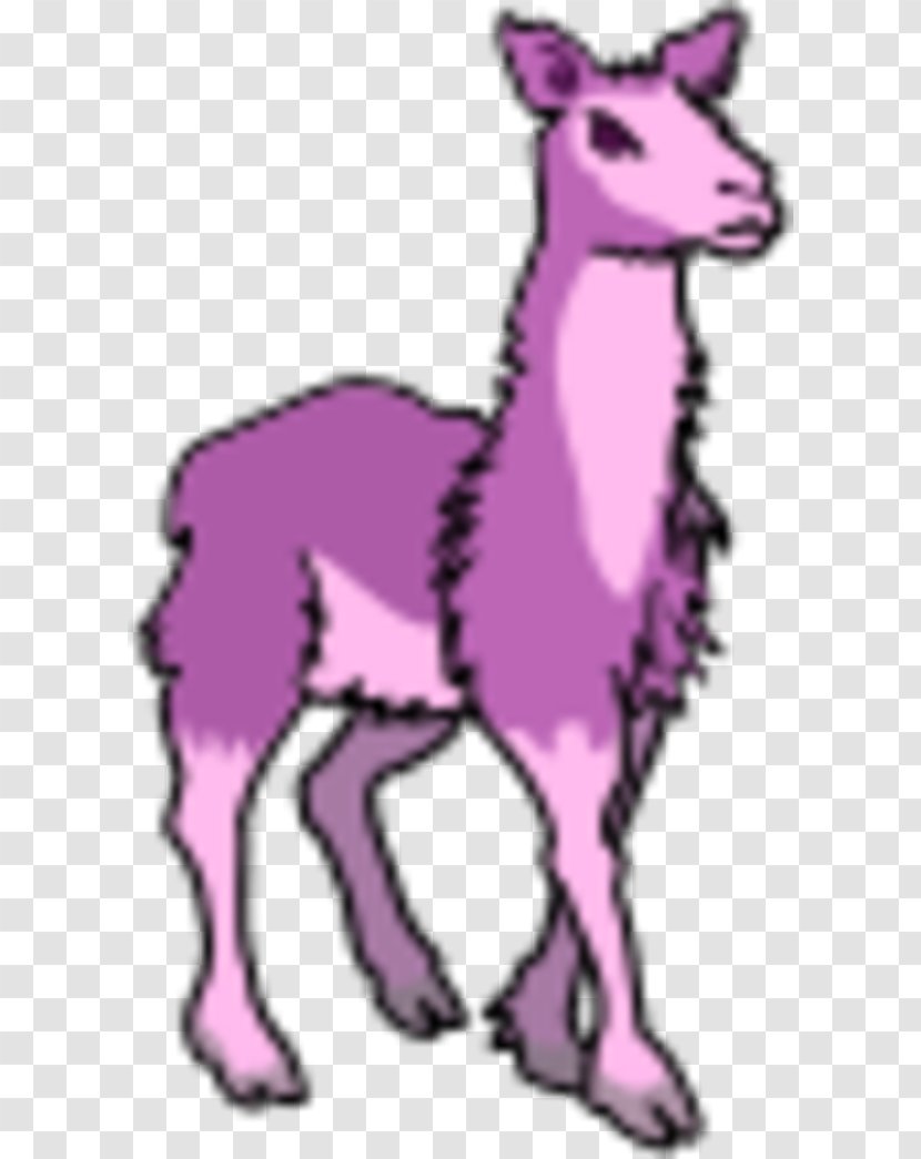 Llama Alpaca Free Content Public Domain Clip Art - Fauna - Purple Cliparts Transparent PNG