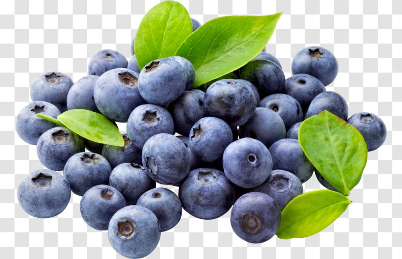 Blueberry Food Fruit Clip Art - Dried Transparent PNG