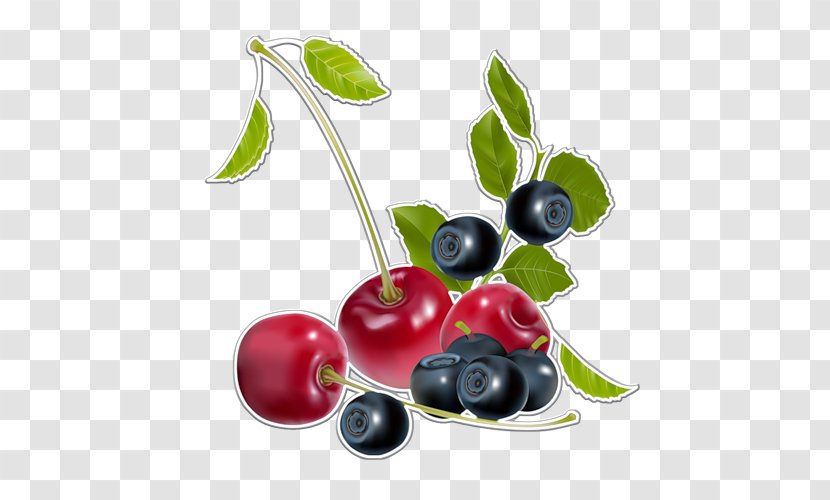 Blueberry Fruit Food Transparent PNG