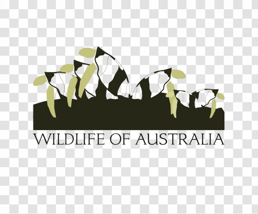 Logo Brand Font - Text - Fauna Of Australia Transparent PNG