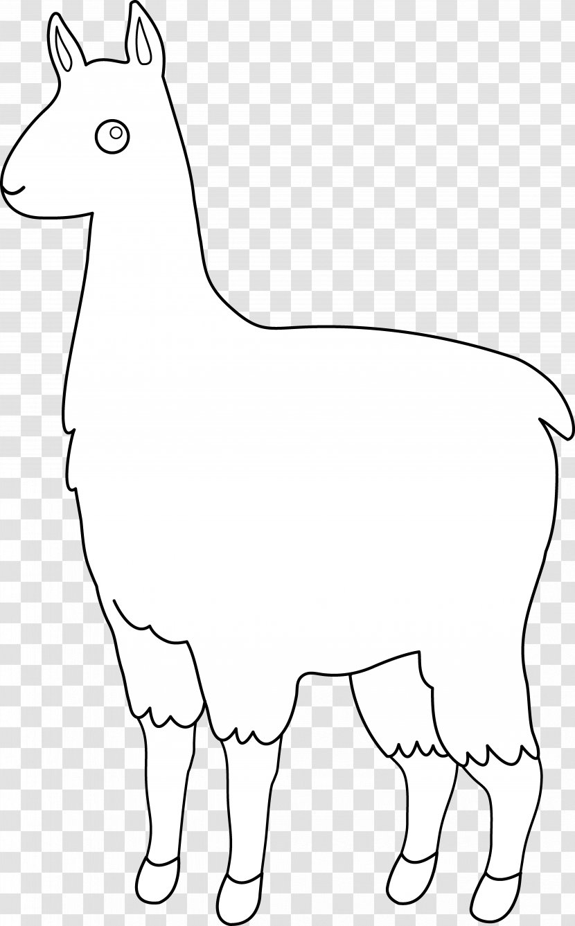 Llama Alpaca Line Art Clip - Outline Transparent PNG