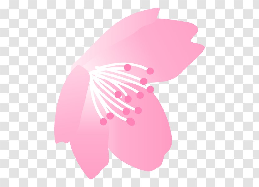 Illustration Cherry Blossom Graphics Flower Petal - Butterfly - Moths And Butterflies Transparent PNG