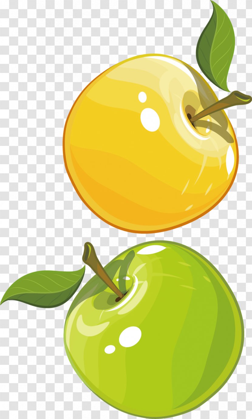 Material Clip Art - Fruit - Apple Vector Transparent PNG