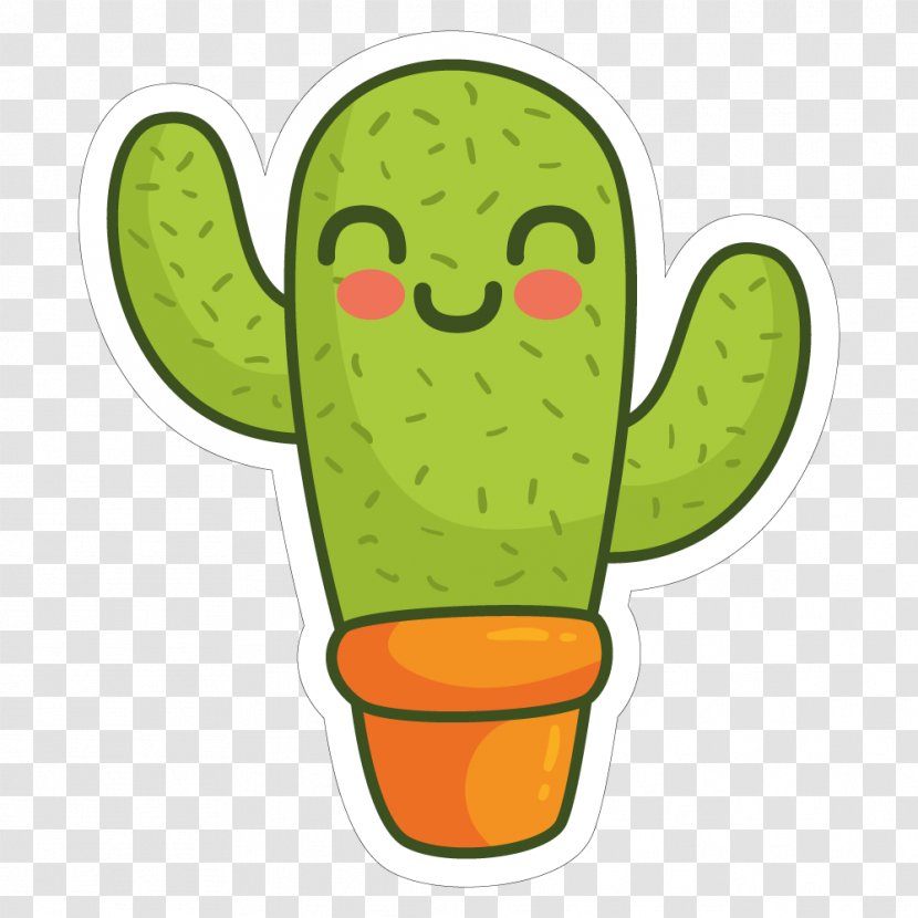 Cactaceae Drawing Square - Organism - Cactus Transparent PNG