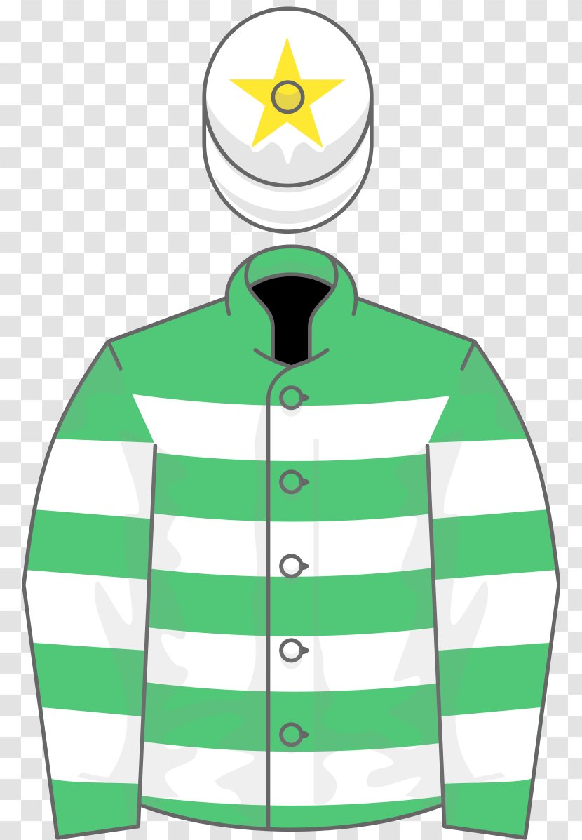 Champion Hurdle Horse Galway The Grand National Arkle Novice Chase - Neck Transparent PNG