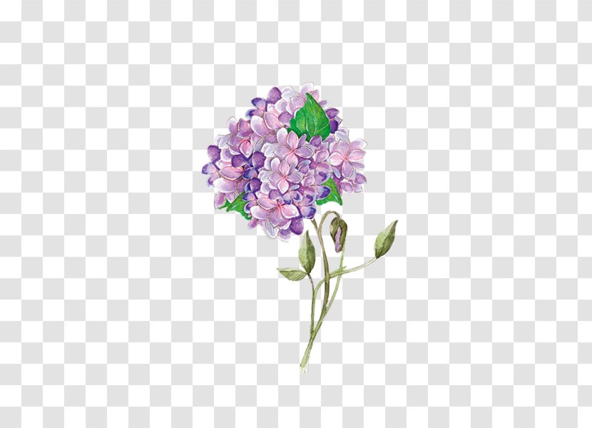 Watercolor Painting - Flowers Transparent PNG