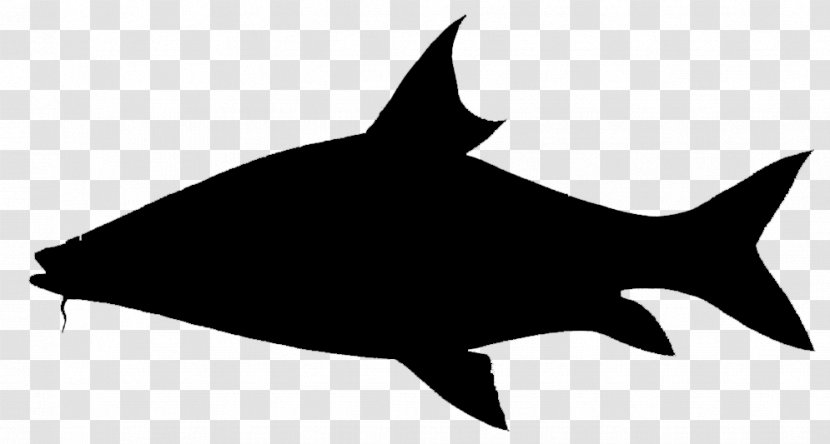 Shark Clip Art Fauna Silhouette Marine Mammal - Fish Transparent PNG