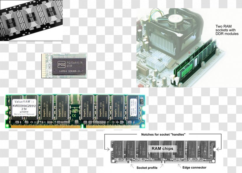 TV Tuner Cards & Adapters Graphics Video Motherboard Computer Hardware Central Processing Unit - Network Interface Controller - Ram Transparent PNG