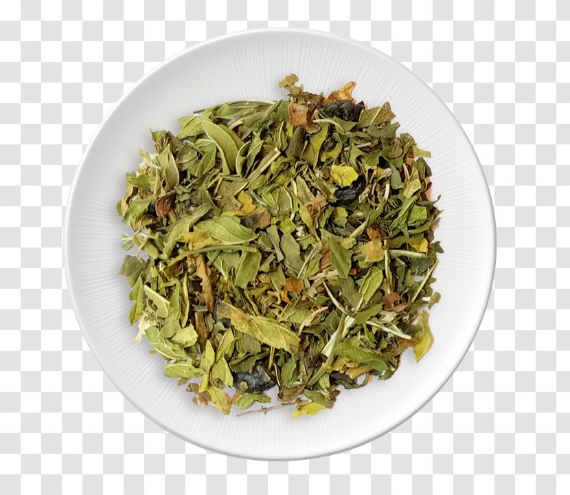 Vegetarian Cuisine Sencha Recipe Food La Quinta Inns & Suites - Mint Tea Transparent PNG